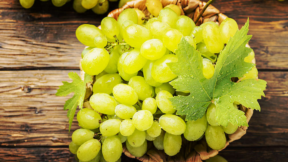 Butasi vita de vie Cotton Candy